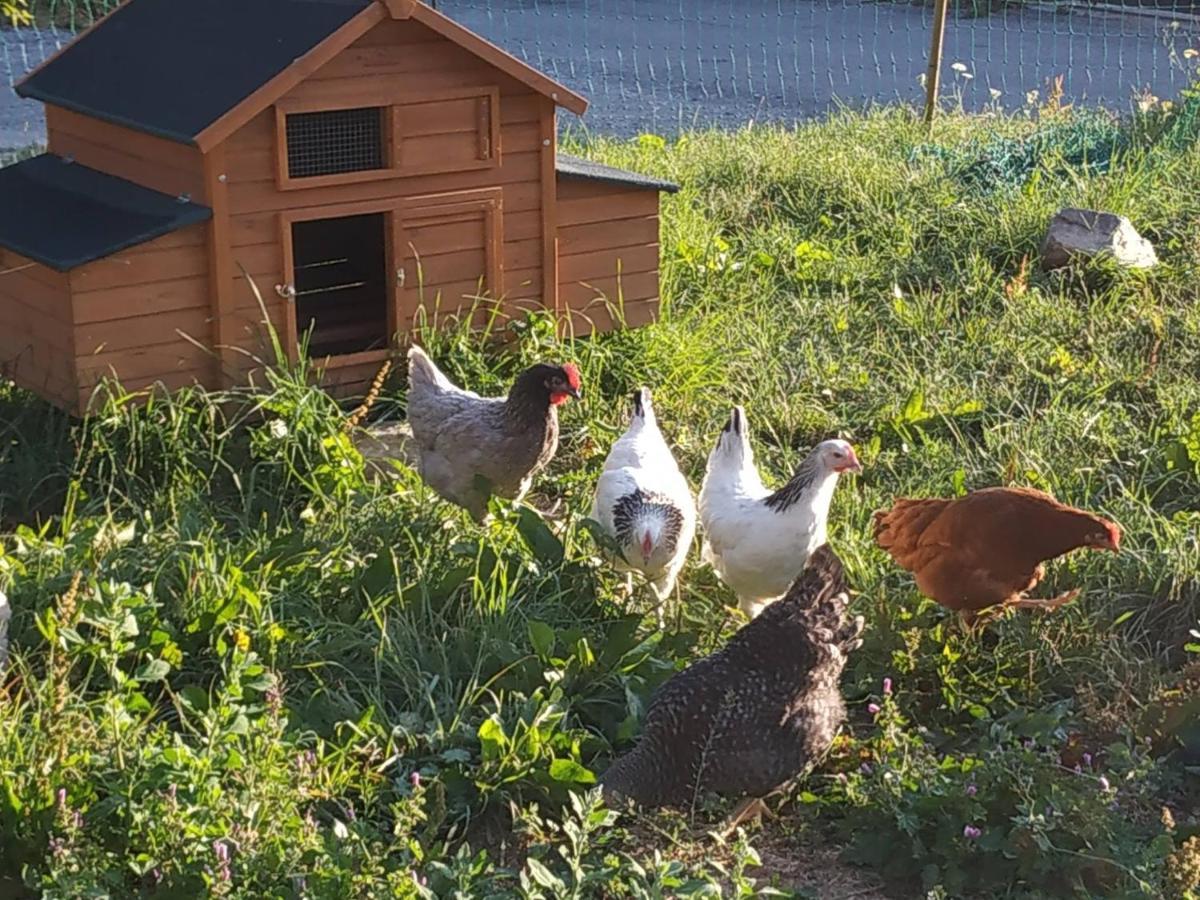 Maison D'Hotes Des Bassins D'Oche Saint-Paul-en-Chablais Eksteriør billede