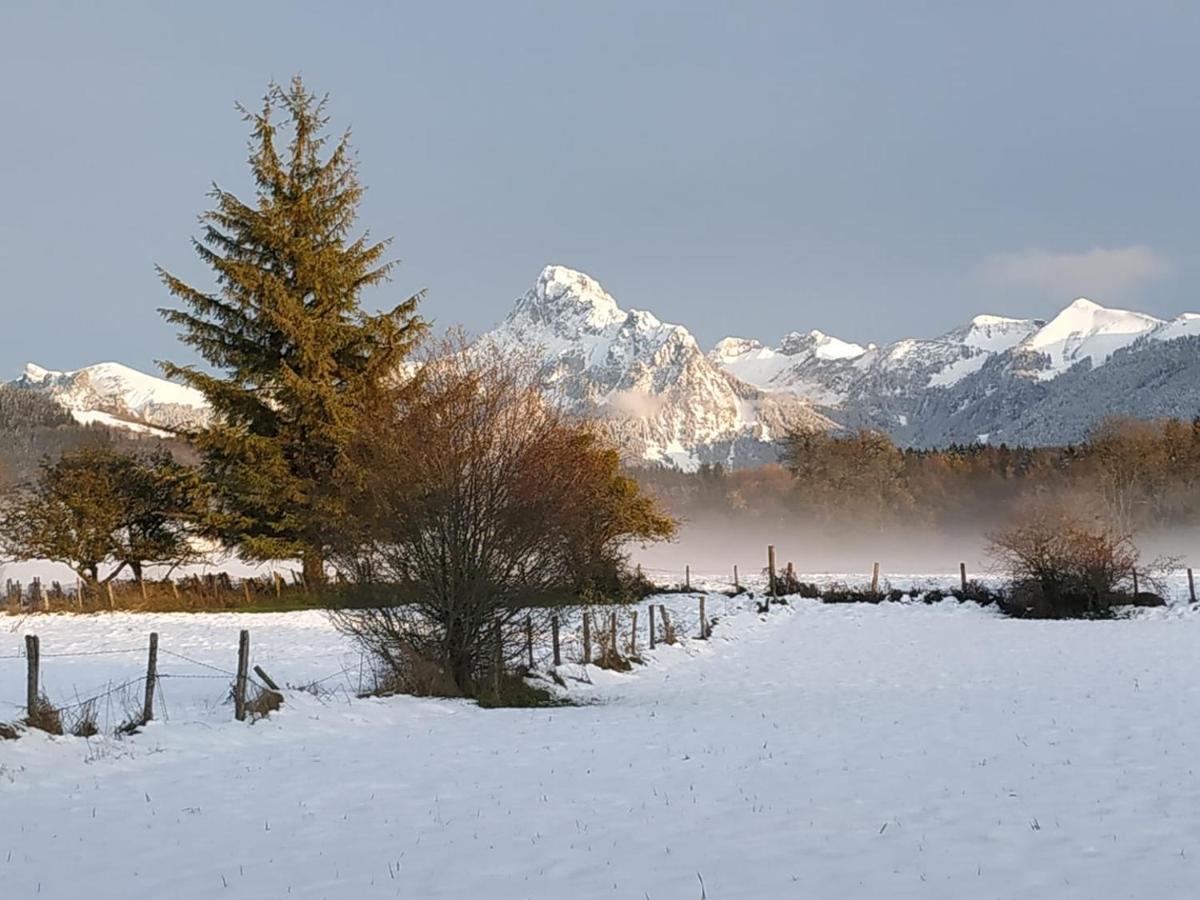 Maison D'Hotes Des Bassins D'Oche Saint-Paul-en-Chablais Eksteriør billede