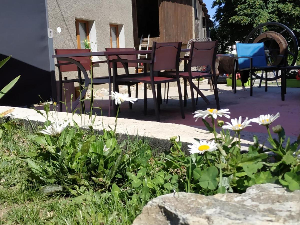 Maison D'Hotes Des Bassins D'Oche Saint-Paul-en-Chablais Eksteriør billede